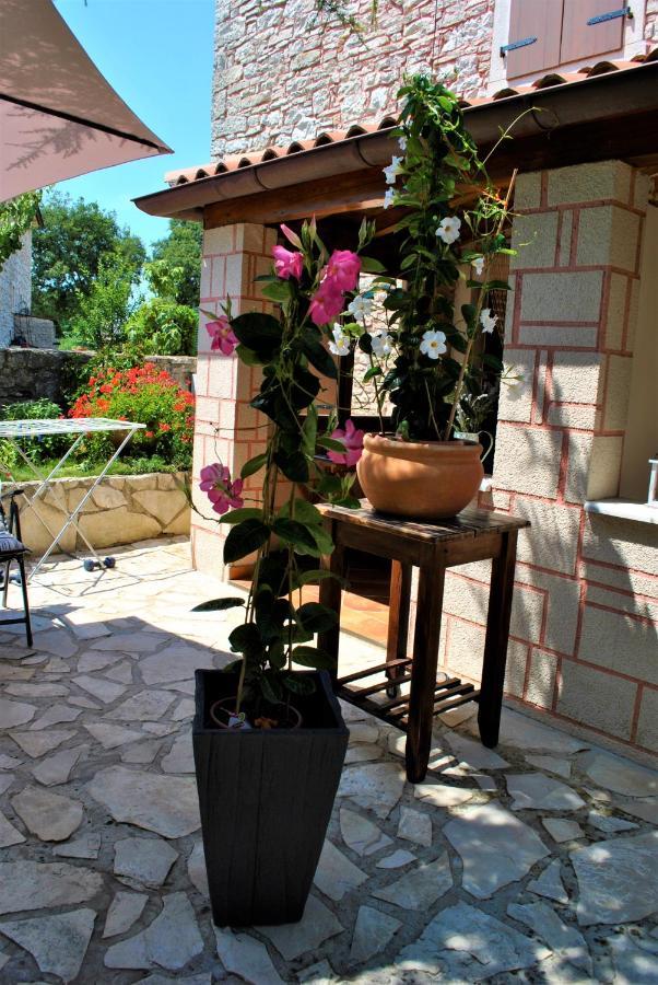 Apartment Pino